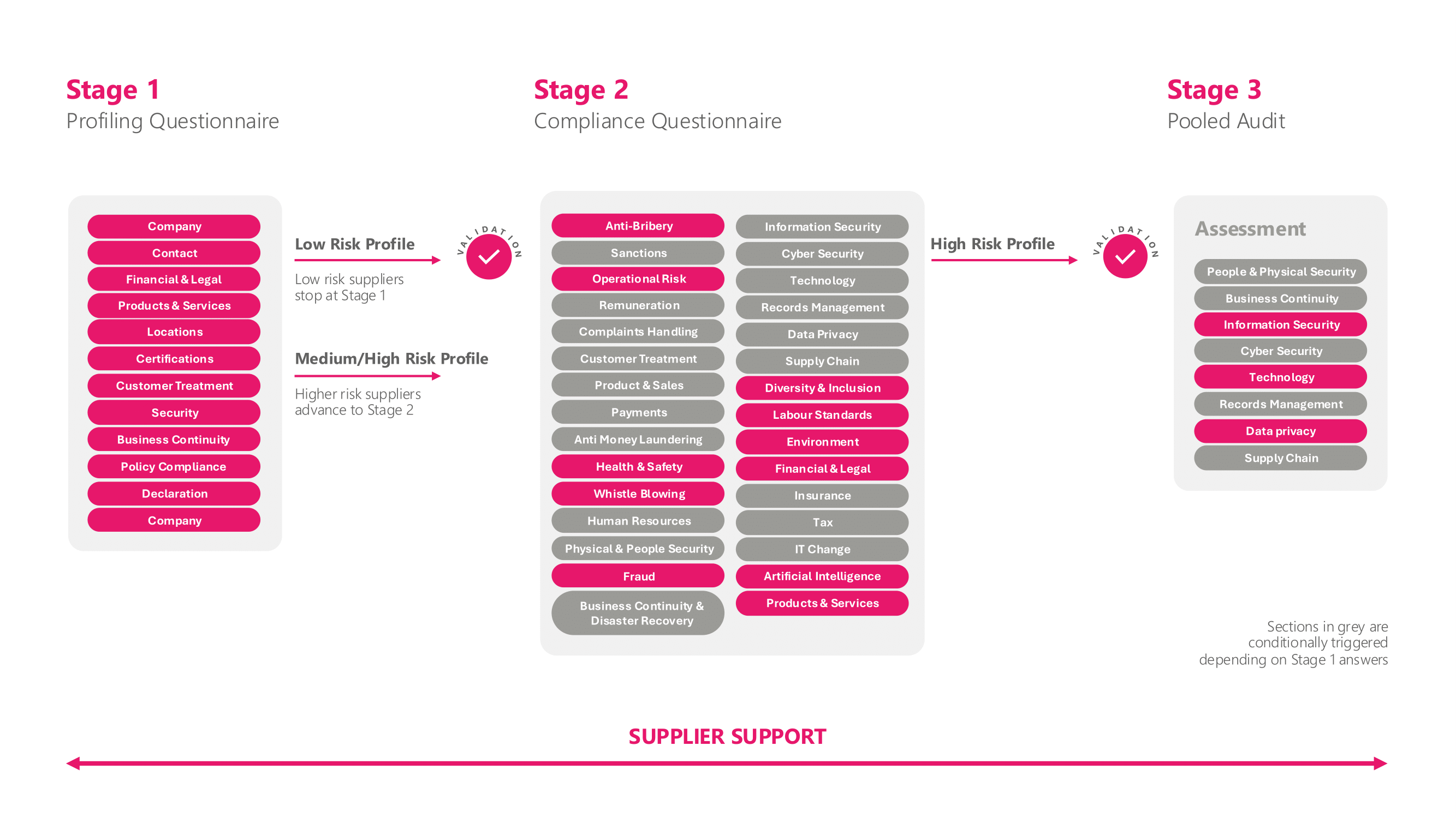 Questionnaire Categories Graphic-1