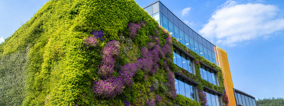 Beyond offsetting Building supply chain sustainability that actually lasts