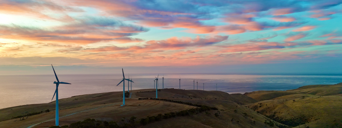 Renewable Energy Australia windmills