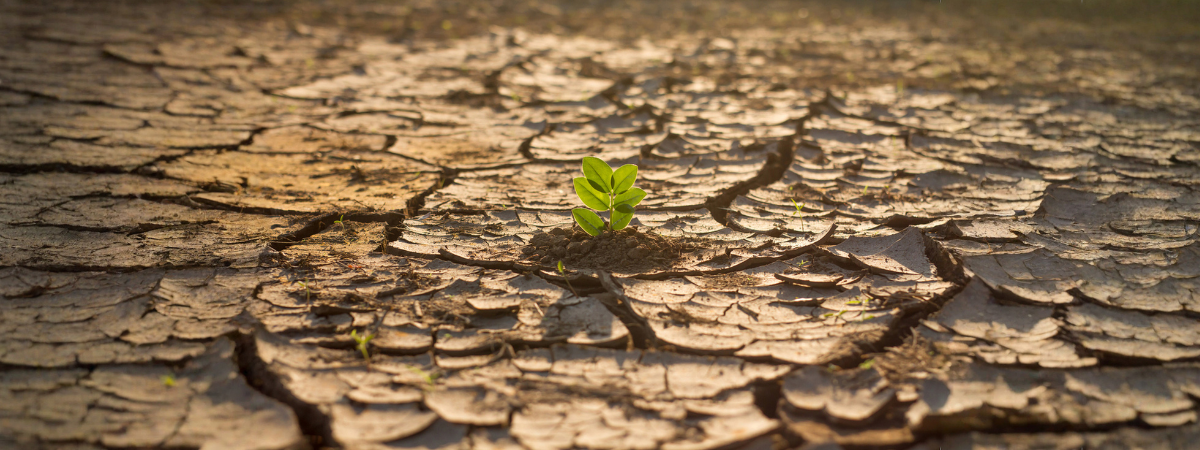 On Demand Webinar Climate Risks