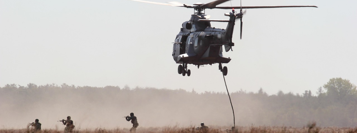 Sovereign Capability