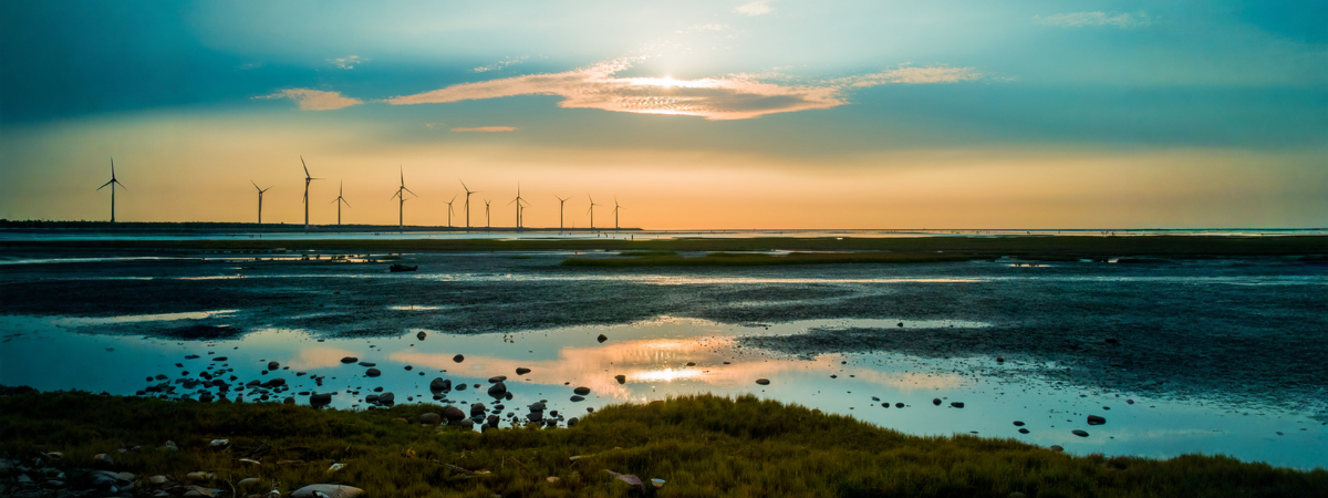 Top 3 climate challenges for procurement teams - and how to tackle them