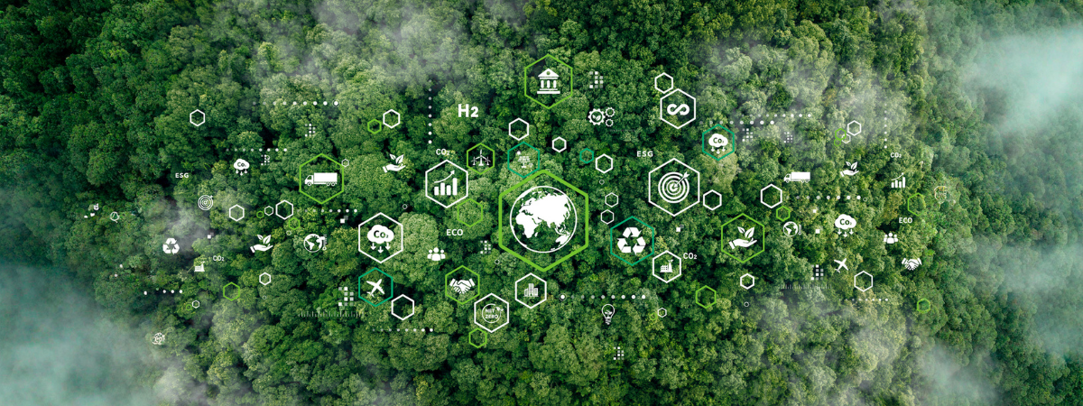 UK SRS S1 & S2 Sustainability Reporting or Business Resilience