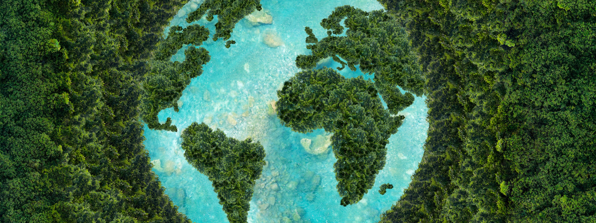 What Sustainable Procurement Needs Next